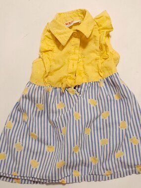 ADORABLE Baby Lemon Stripe Dress Size 12M Monkey Bars